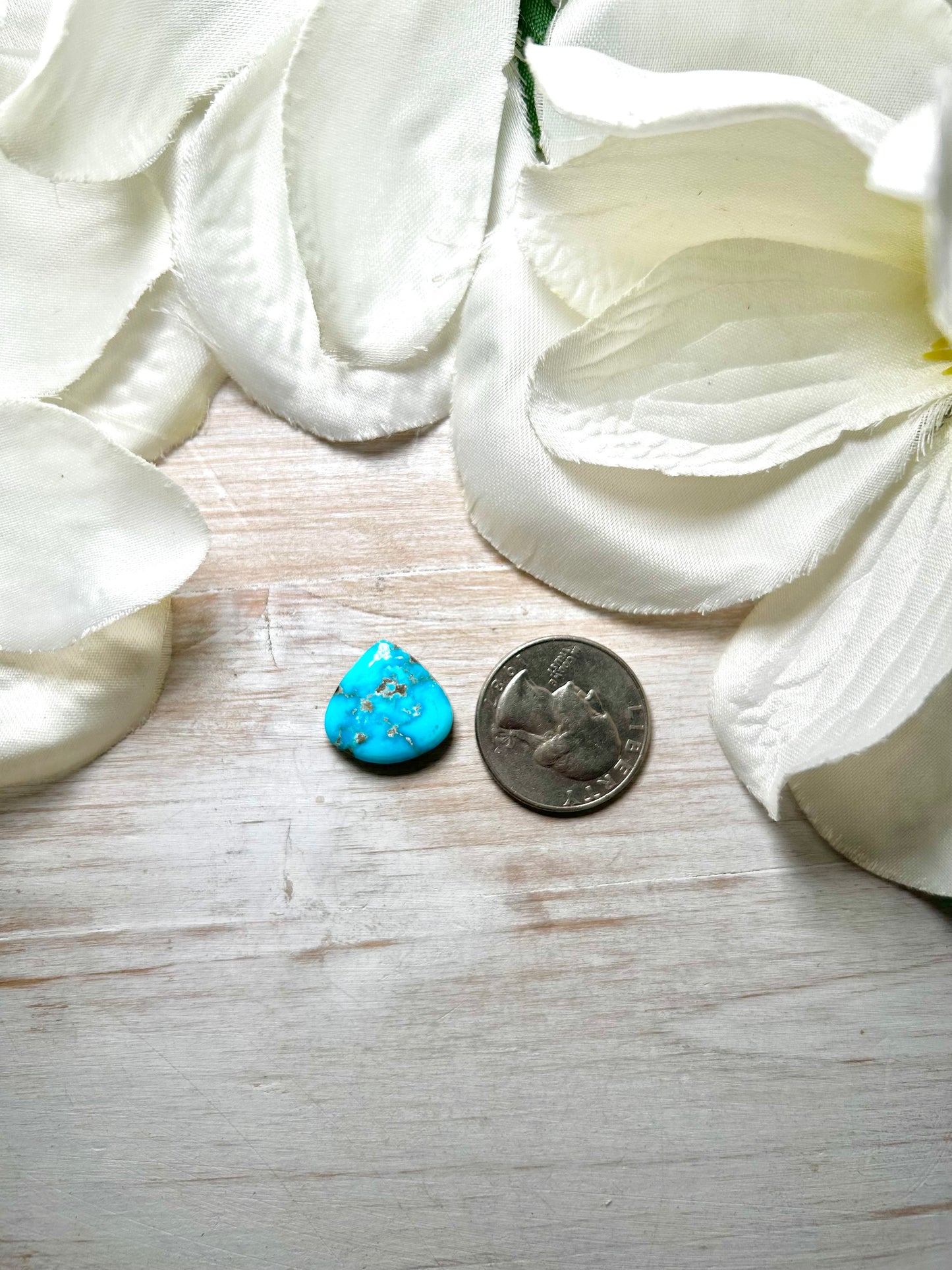 Blue Ridge Turquoise Cab
