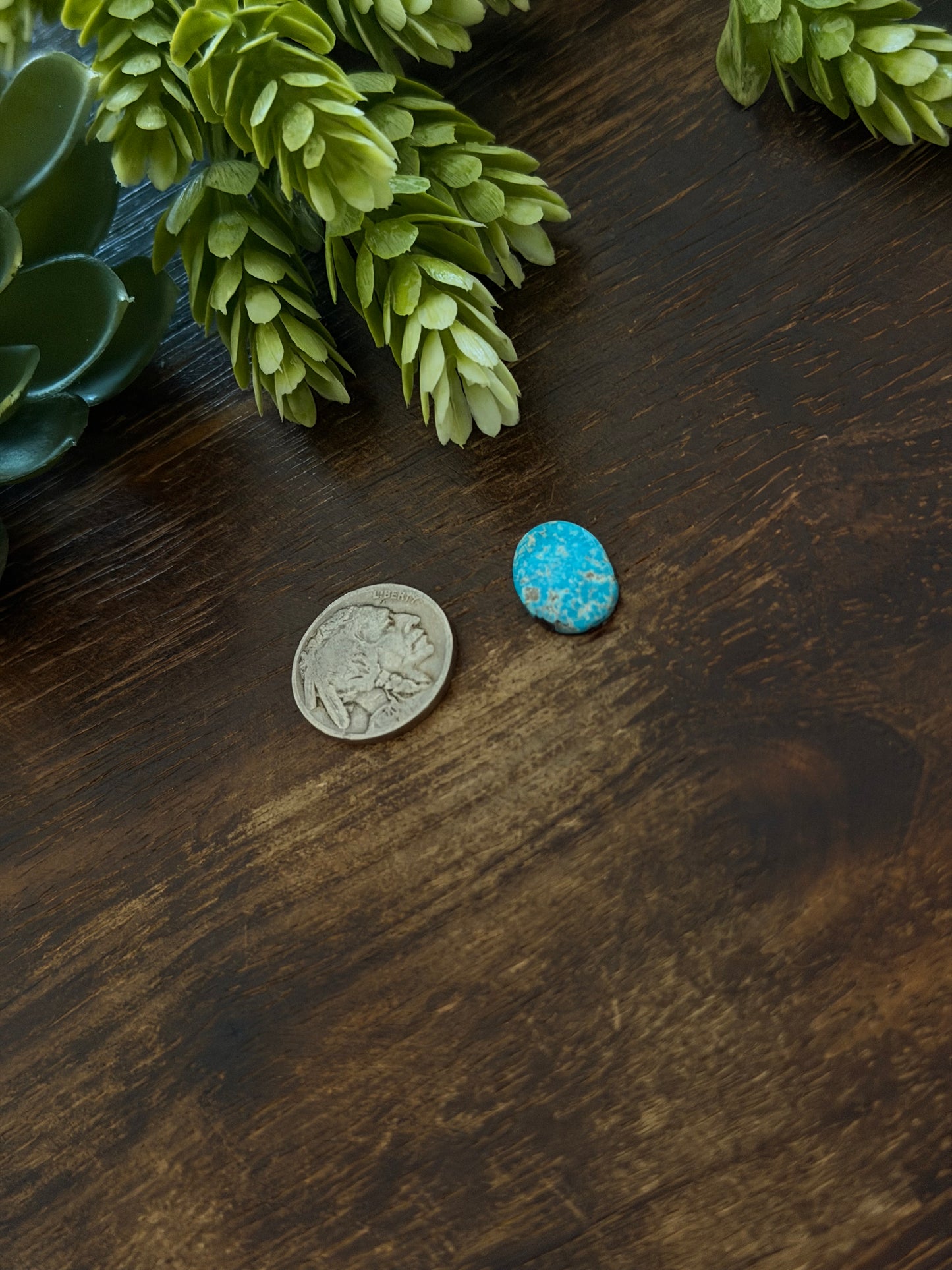 Blue Bird Turquoise Cab