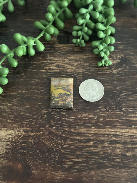 Black Jack Turquoise Cab