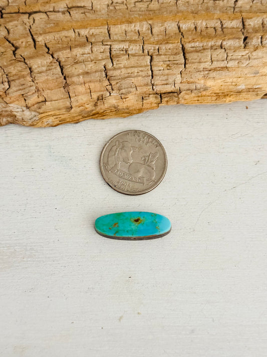 Natural Kings Manassa Turquoise Cab