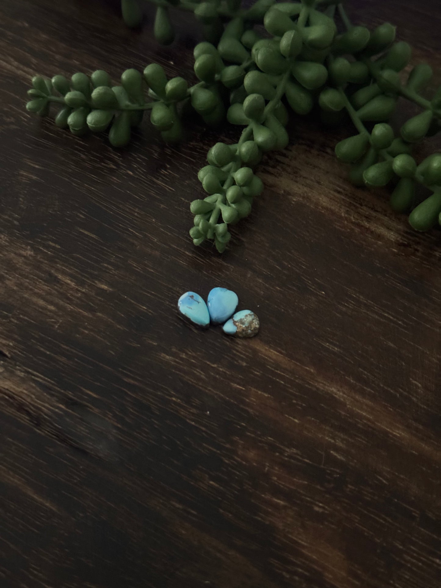 Golden Hills Turquoise Cabs