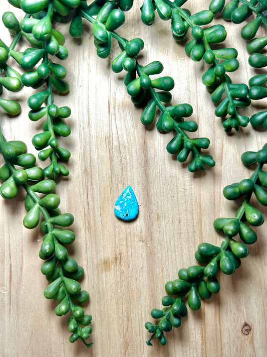 Blue Ridge Turquoise Cab