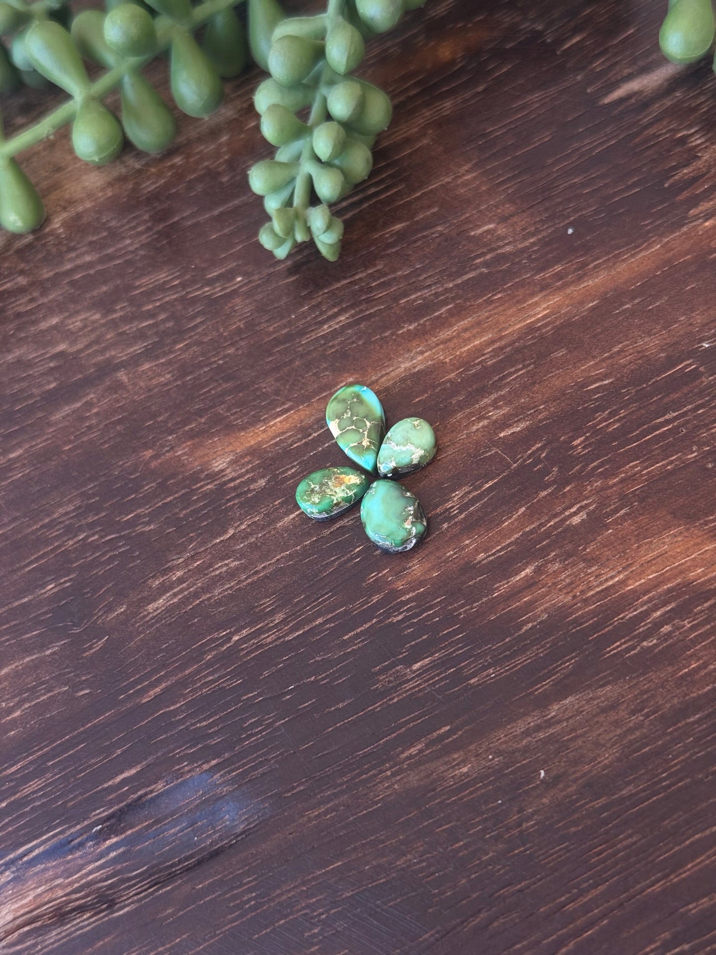 Sonoran Mountain Turquoise Cabs