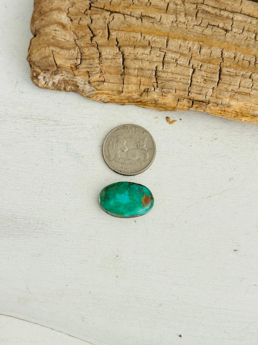 Natural Kings Manassa Turquoise Cab