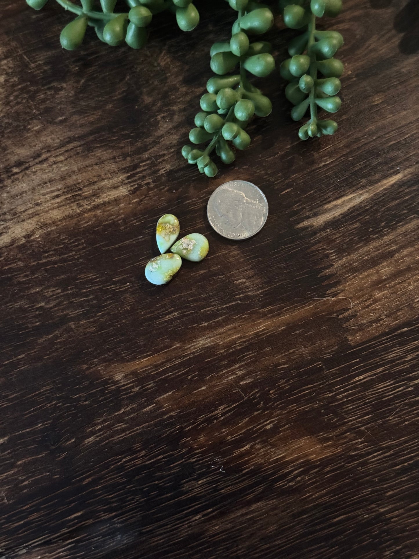 Palomino Variscite Cabs