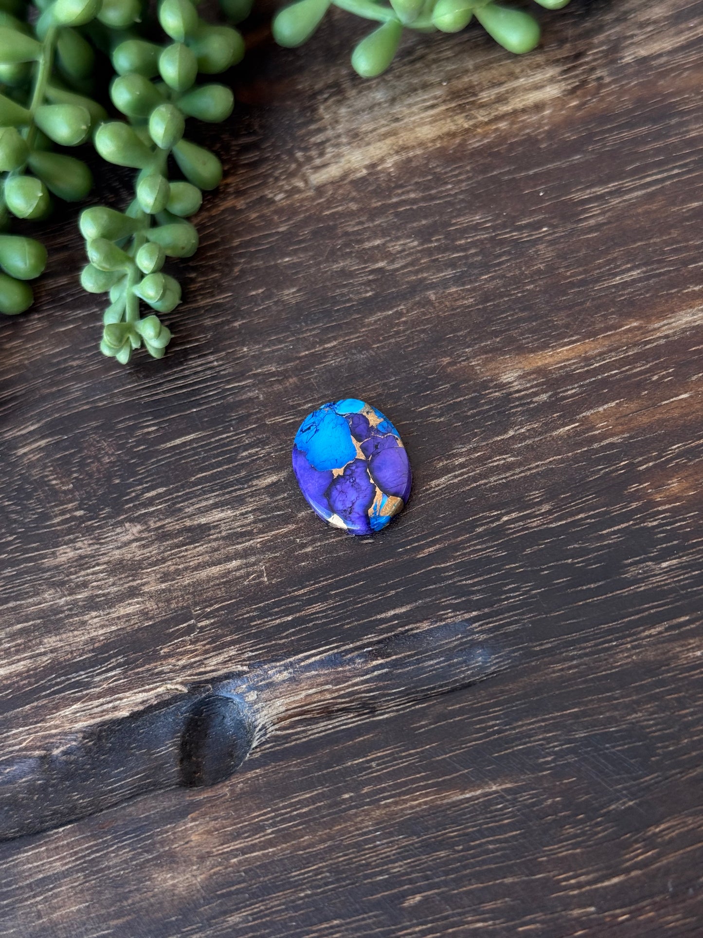 Purple Dahlia Composite Cabs