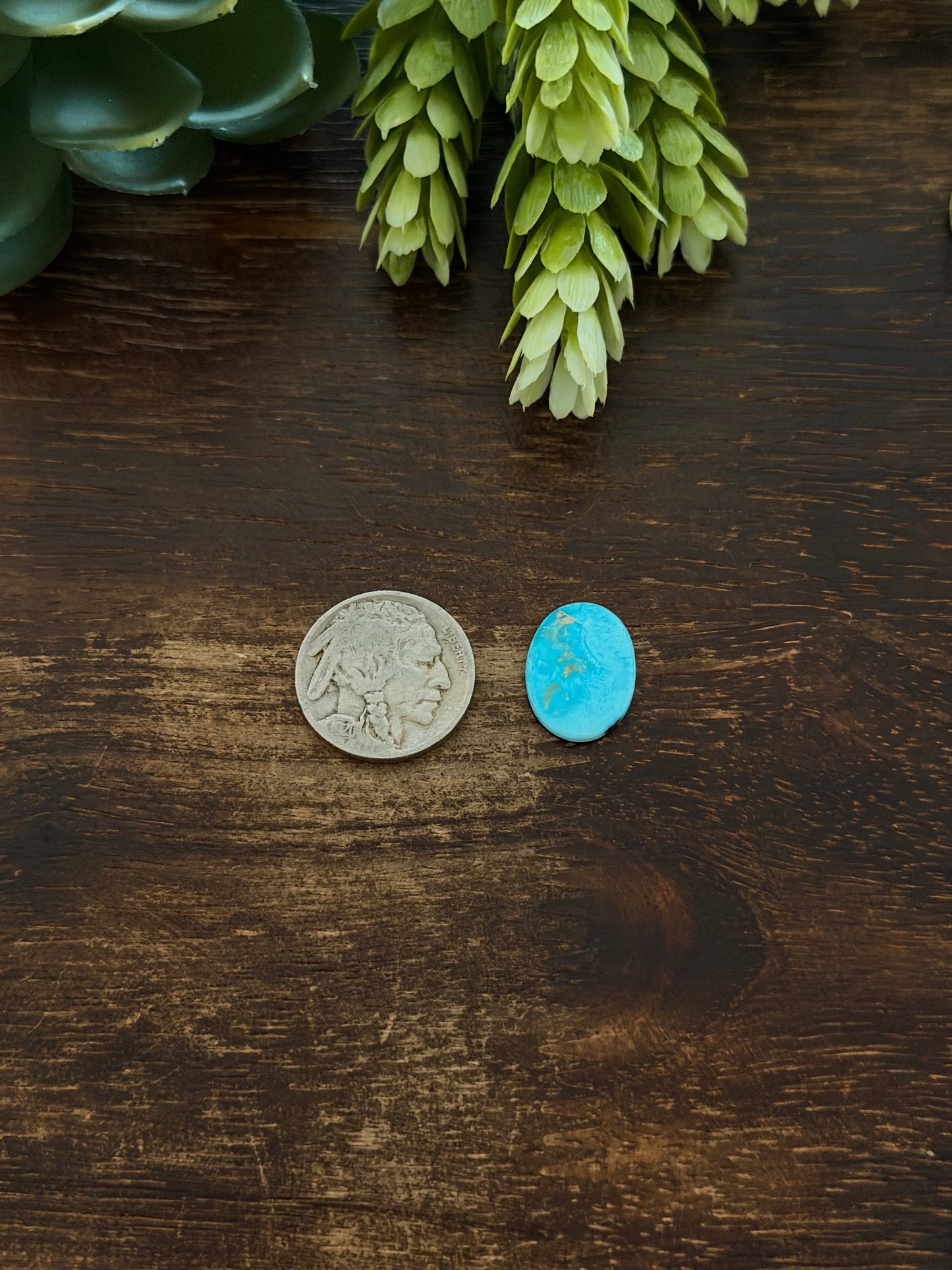Blue Bird Turquoise Cab