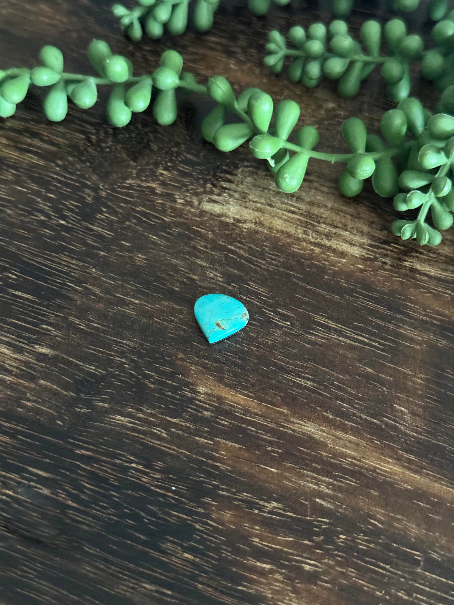Kingman Turquoise Cab