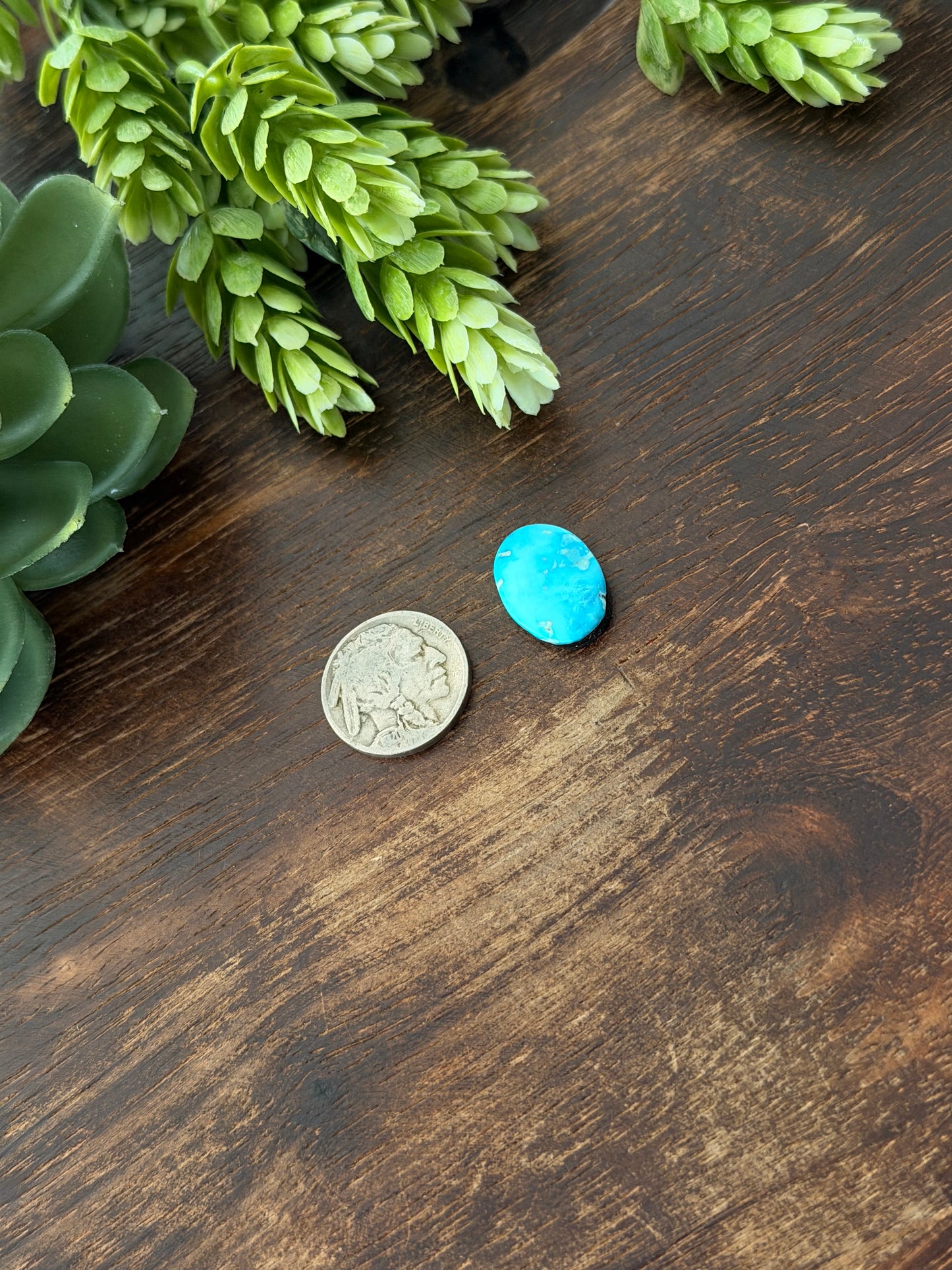 Blue Bird Turquoise Cab