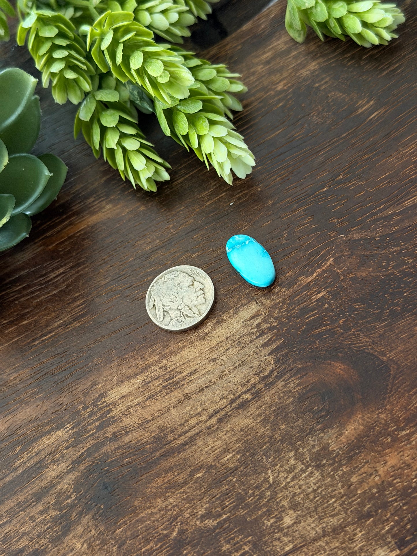 Blue Bird Turquoise Cab