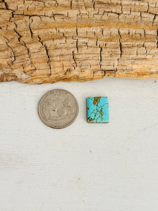 Natural Kings Manassa Turquoise Cab