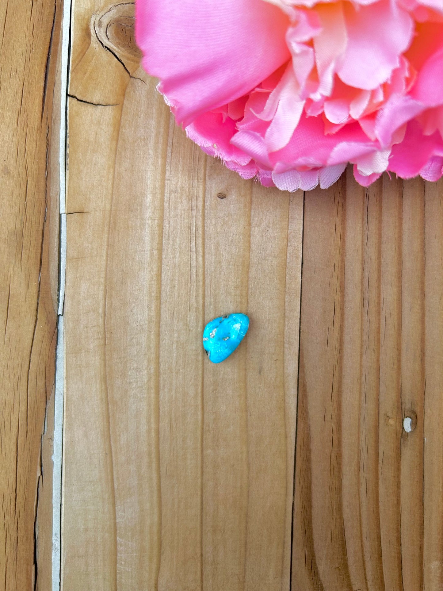 Blue Bird Turquoise Cabs