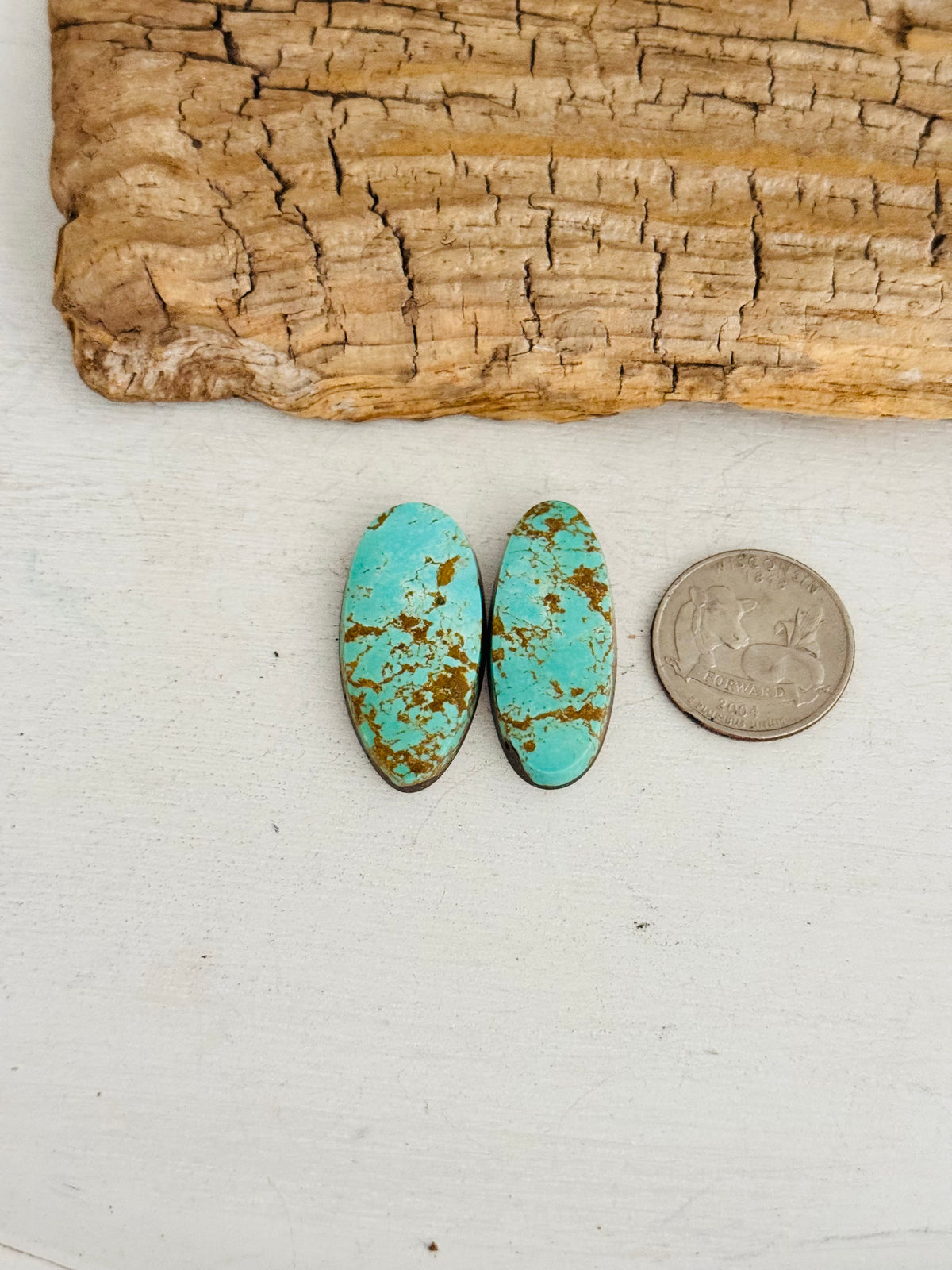 Natural Kings Manassa Turquoise Cabs