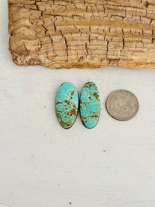 Natural Kings Manassa Turquoise Cabs