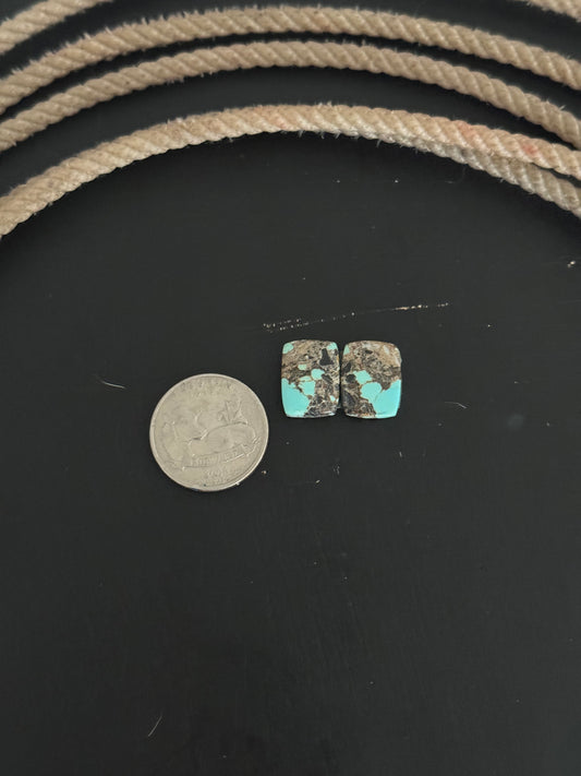 #8 Turquoise Earring Pair Cabs