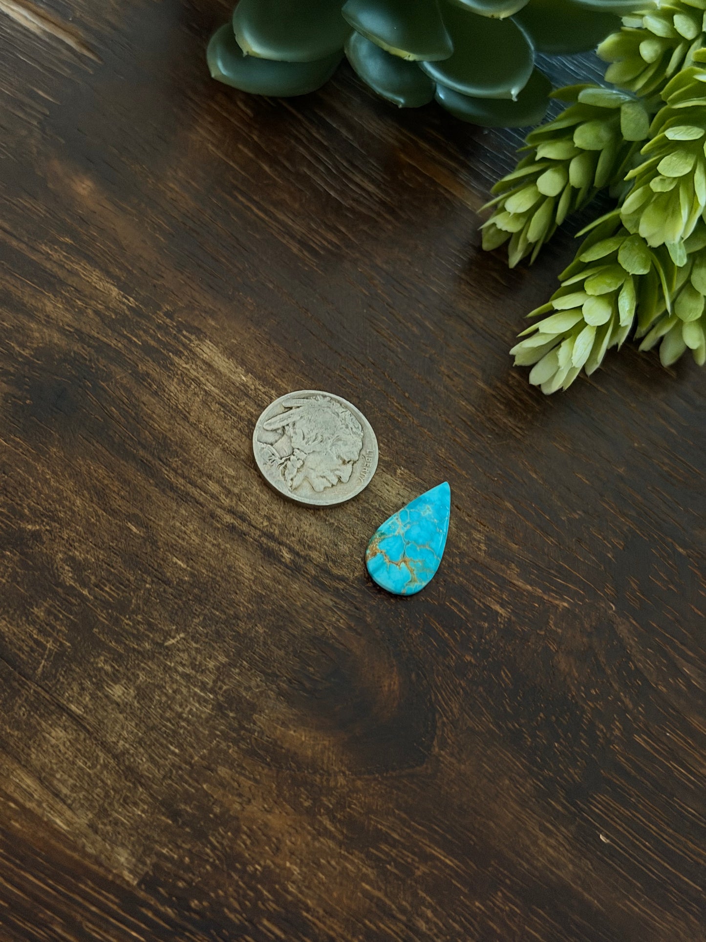 Blue Bird Turquoise Cab
