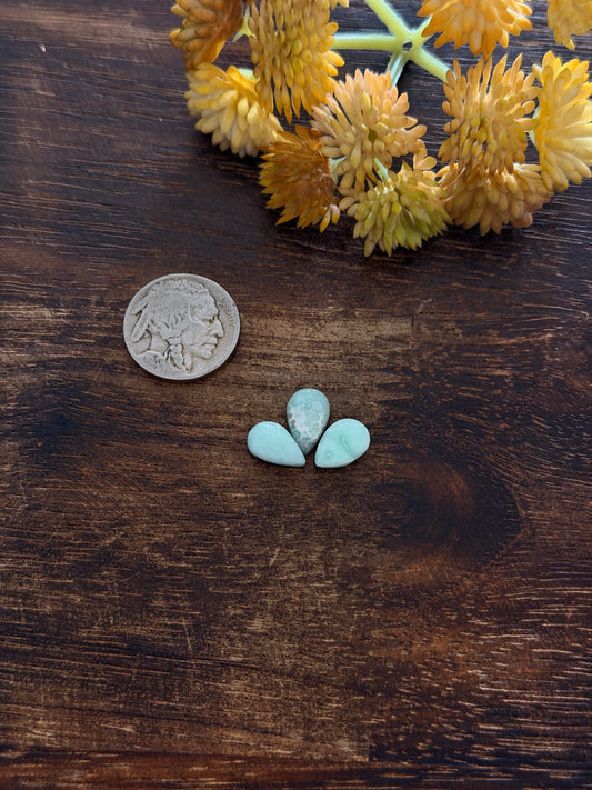 Paloma Variscite Cabs