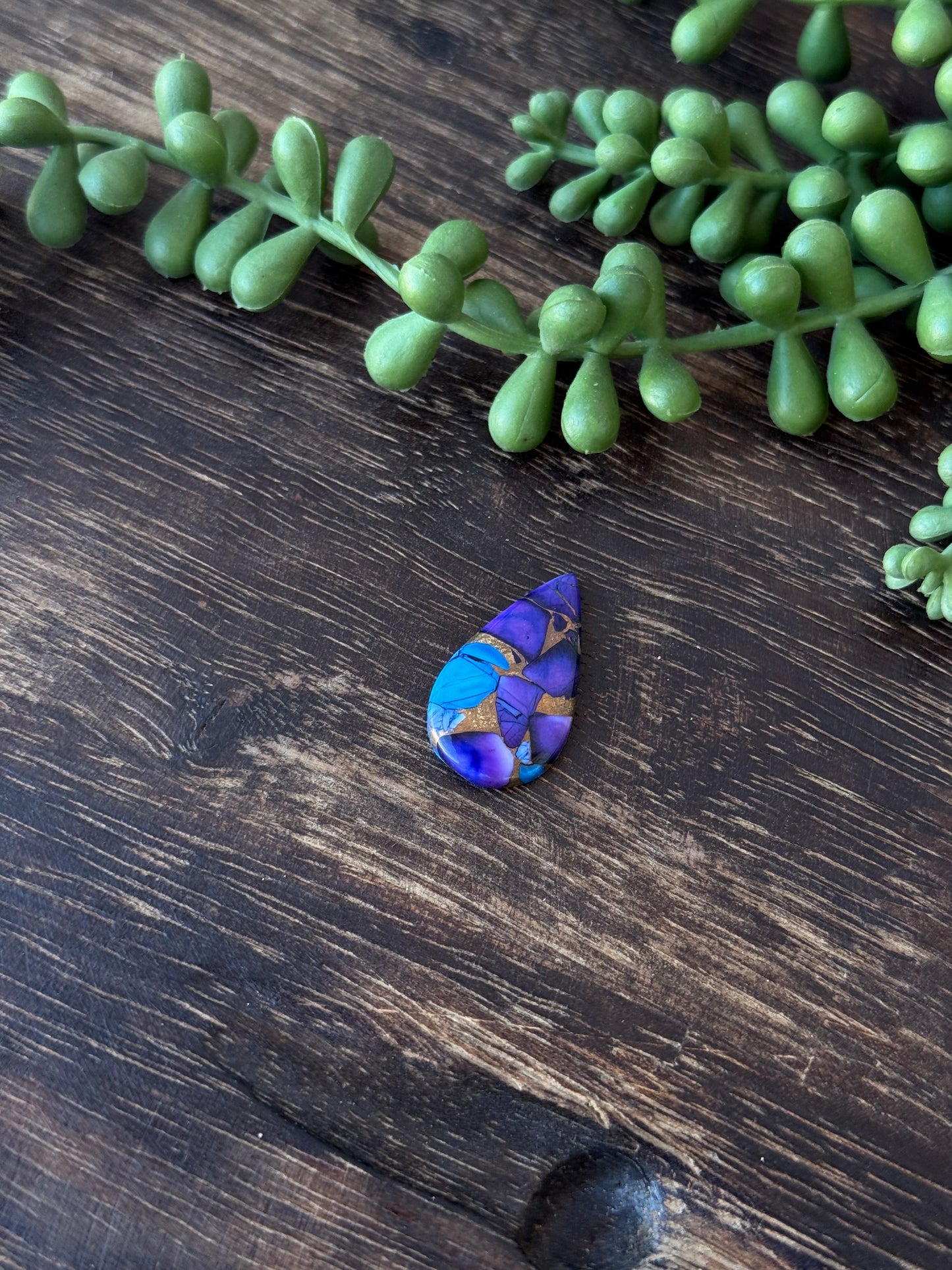 Purple Dahlia Composite Cabs