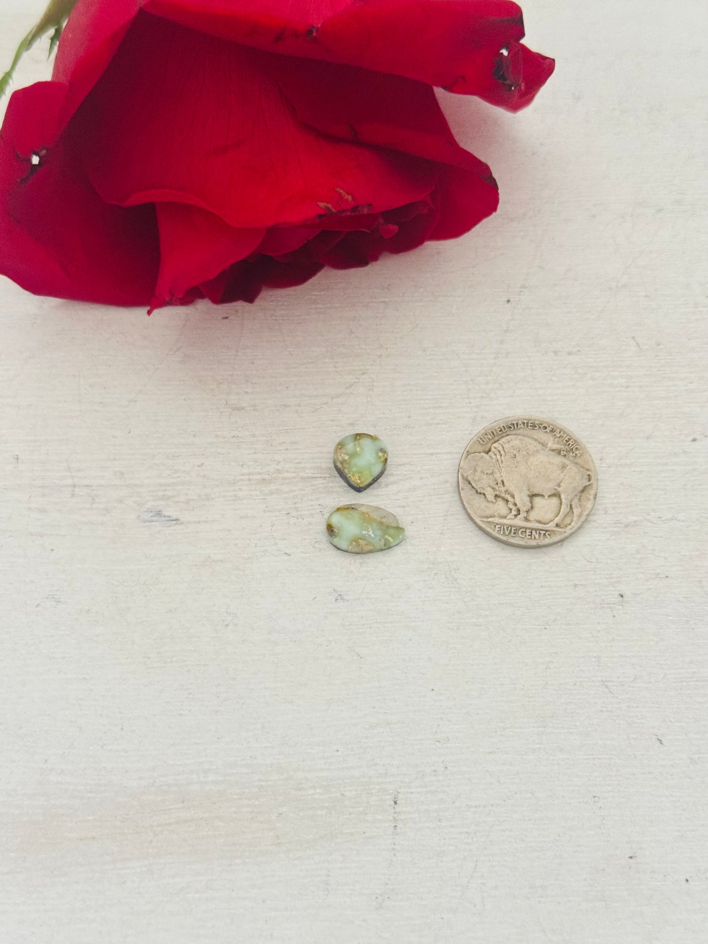 Palomino Variscite Cabs