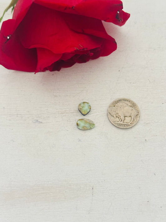 Palomino Variscite Cabs