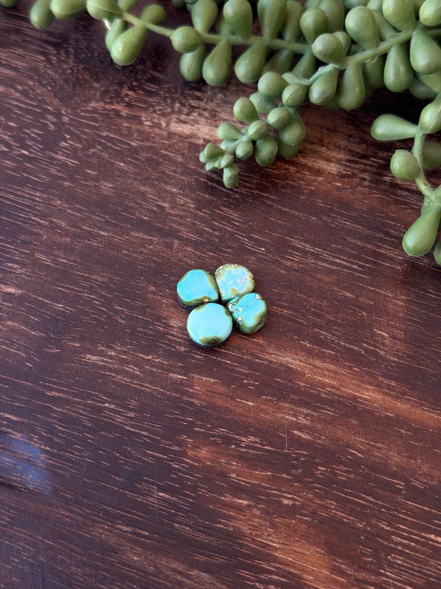 Sonoran Mountain Turquoise Cabs
