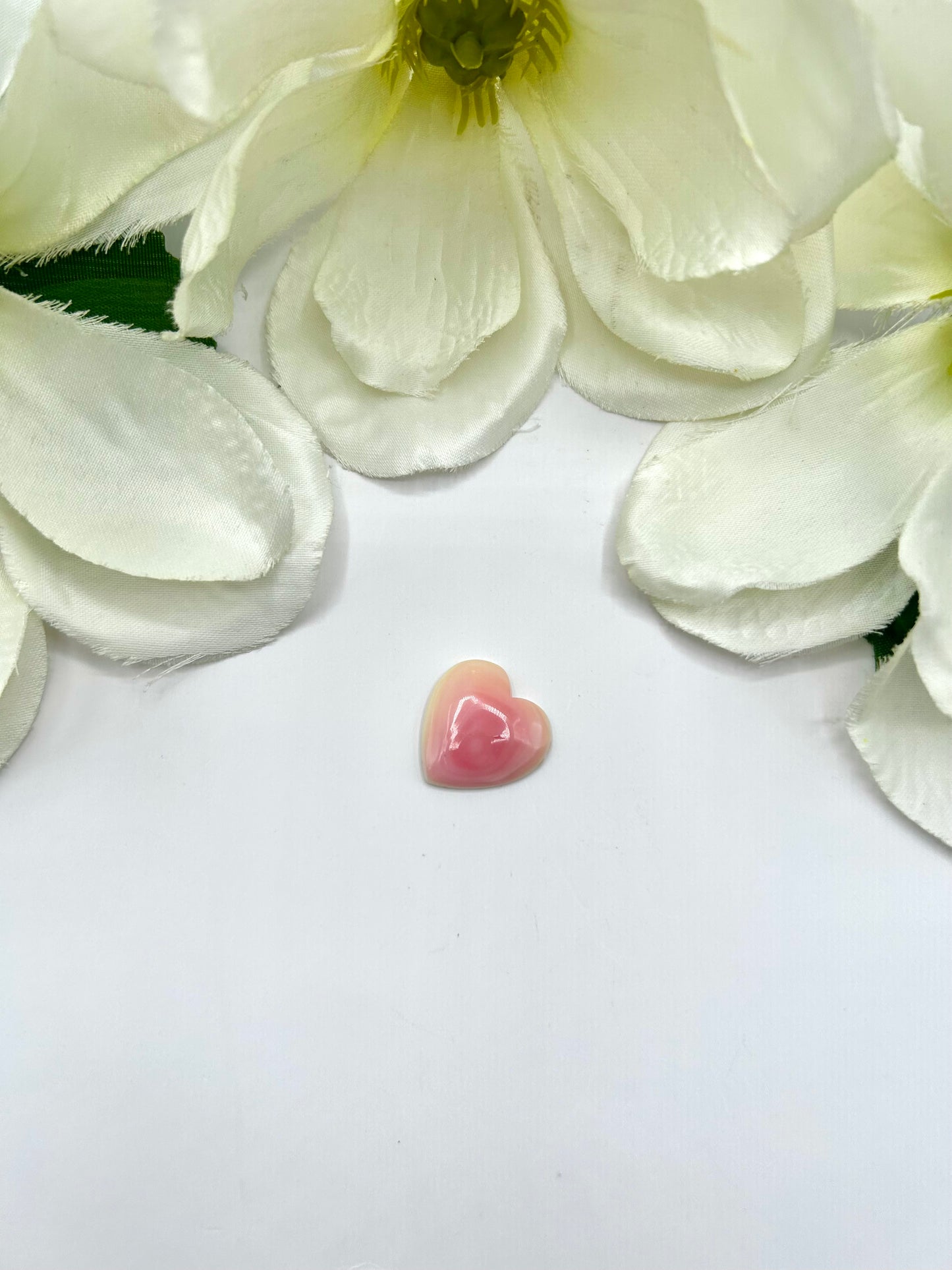 Pink Conch Cab