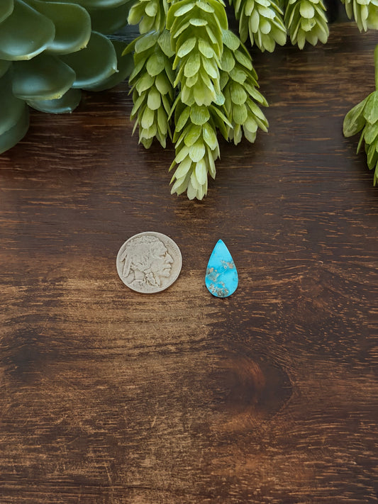 Blue Bird Turquoise Cab