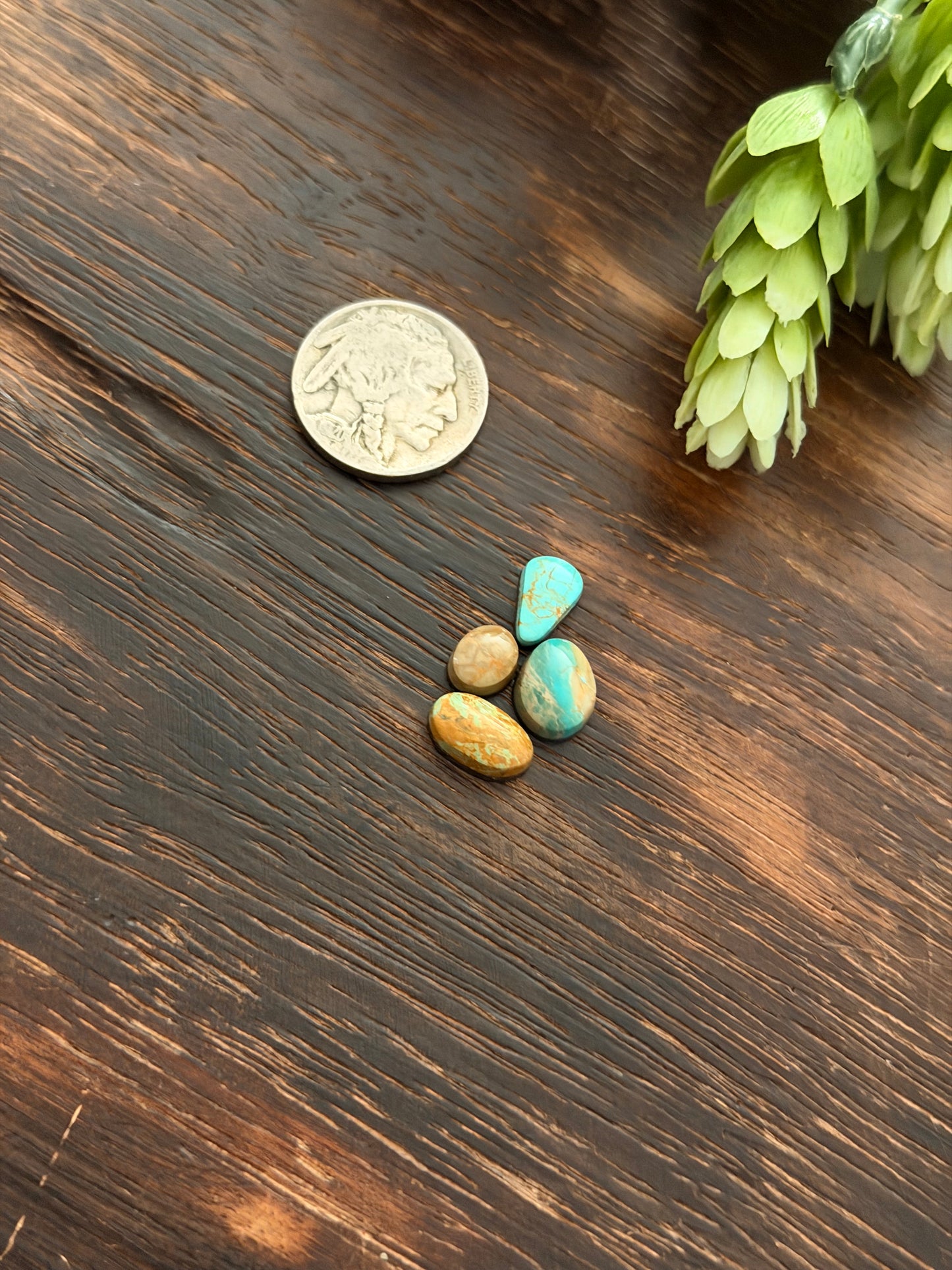 Evans Turquoise Cabs