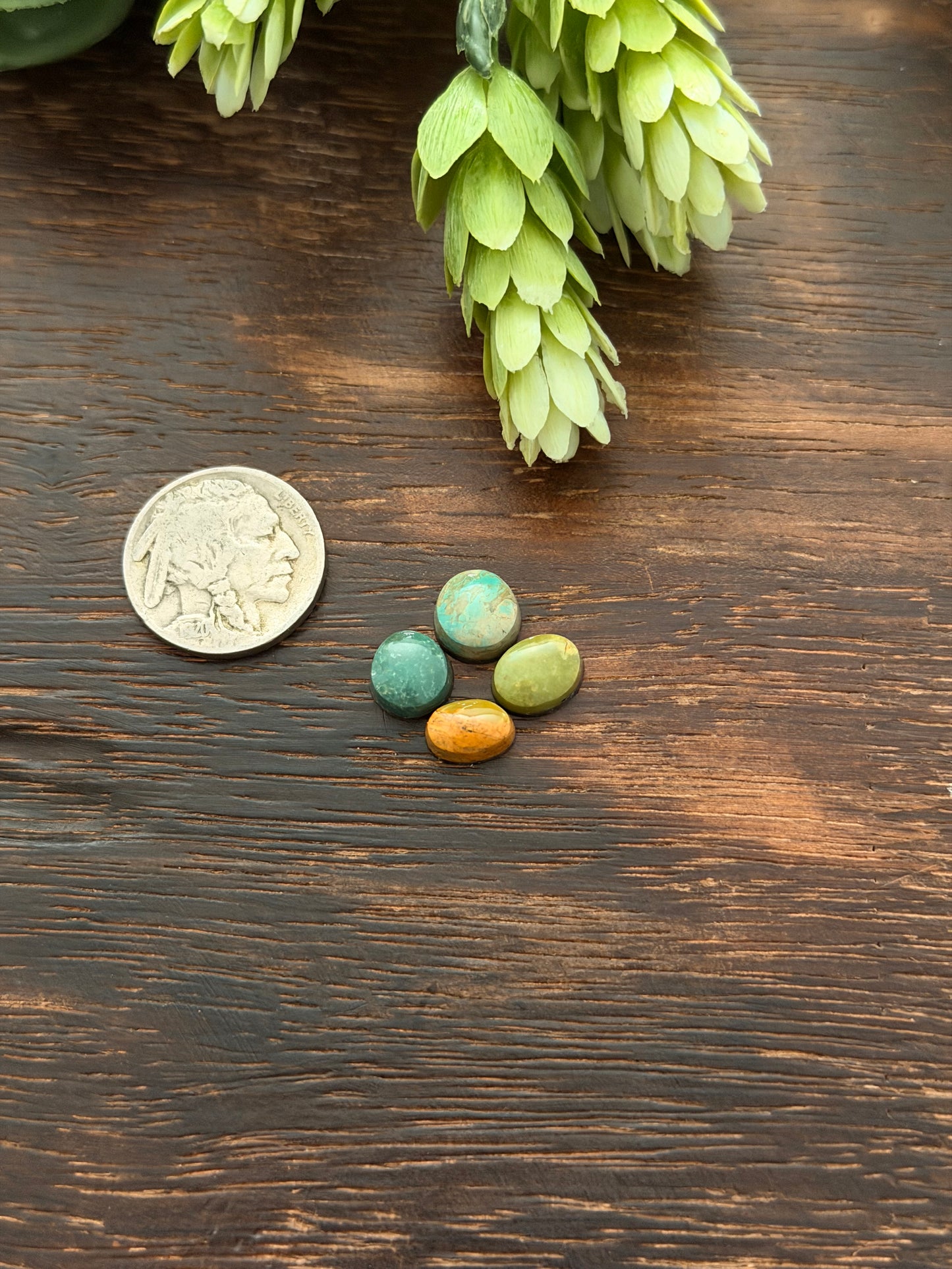 Evans Turquoise Cabs