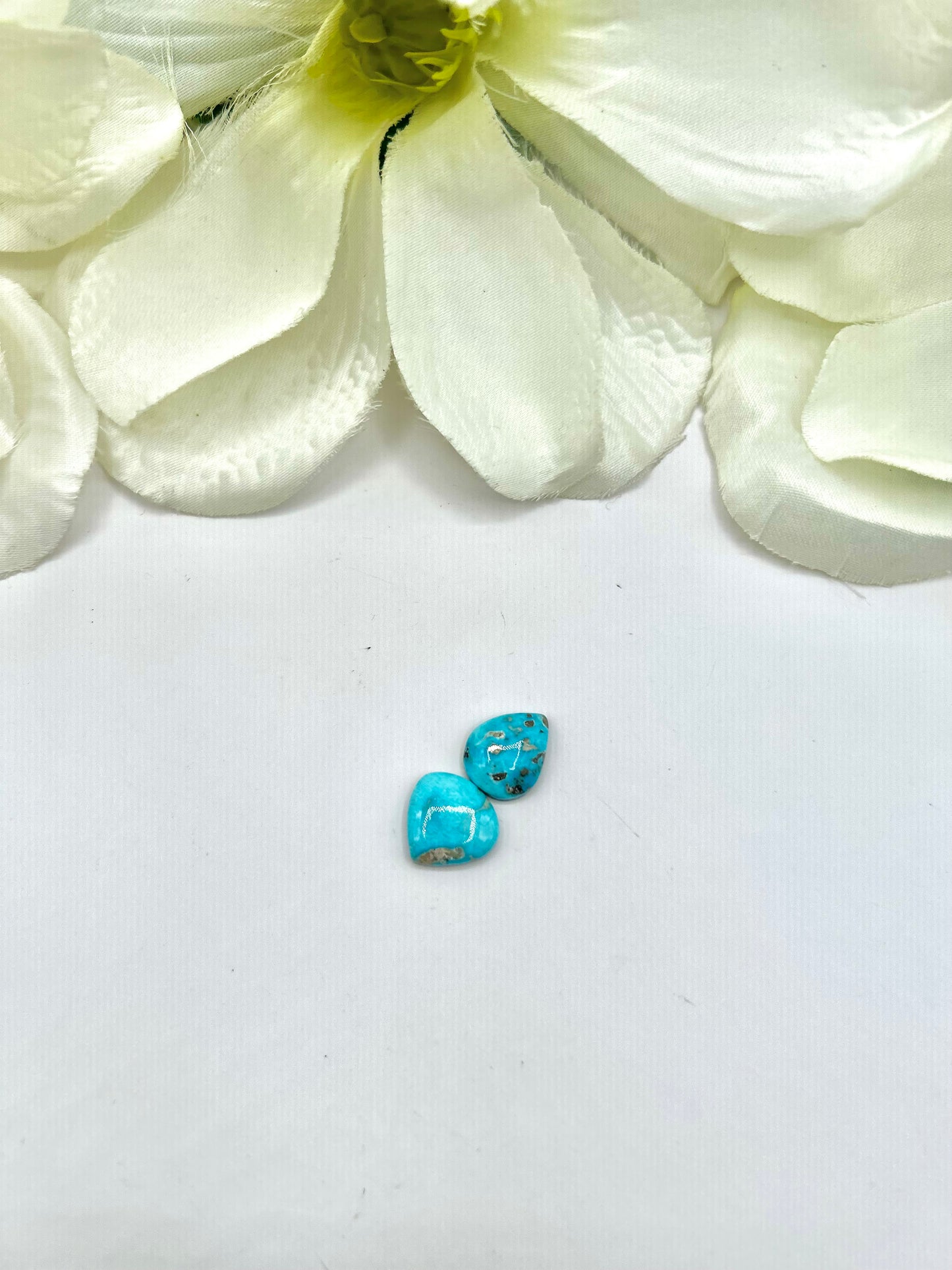 Blue Ridge Turquoise Cabs