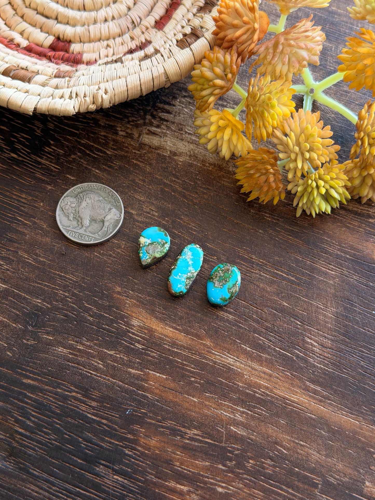 Sonoran Mountain Turquoise Cabs