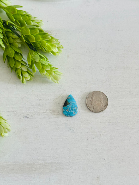 Blue Bird Turquoise Cab