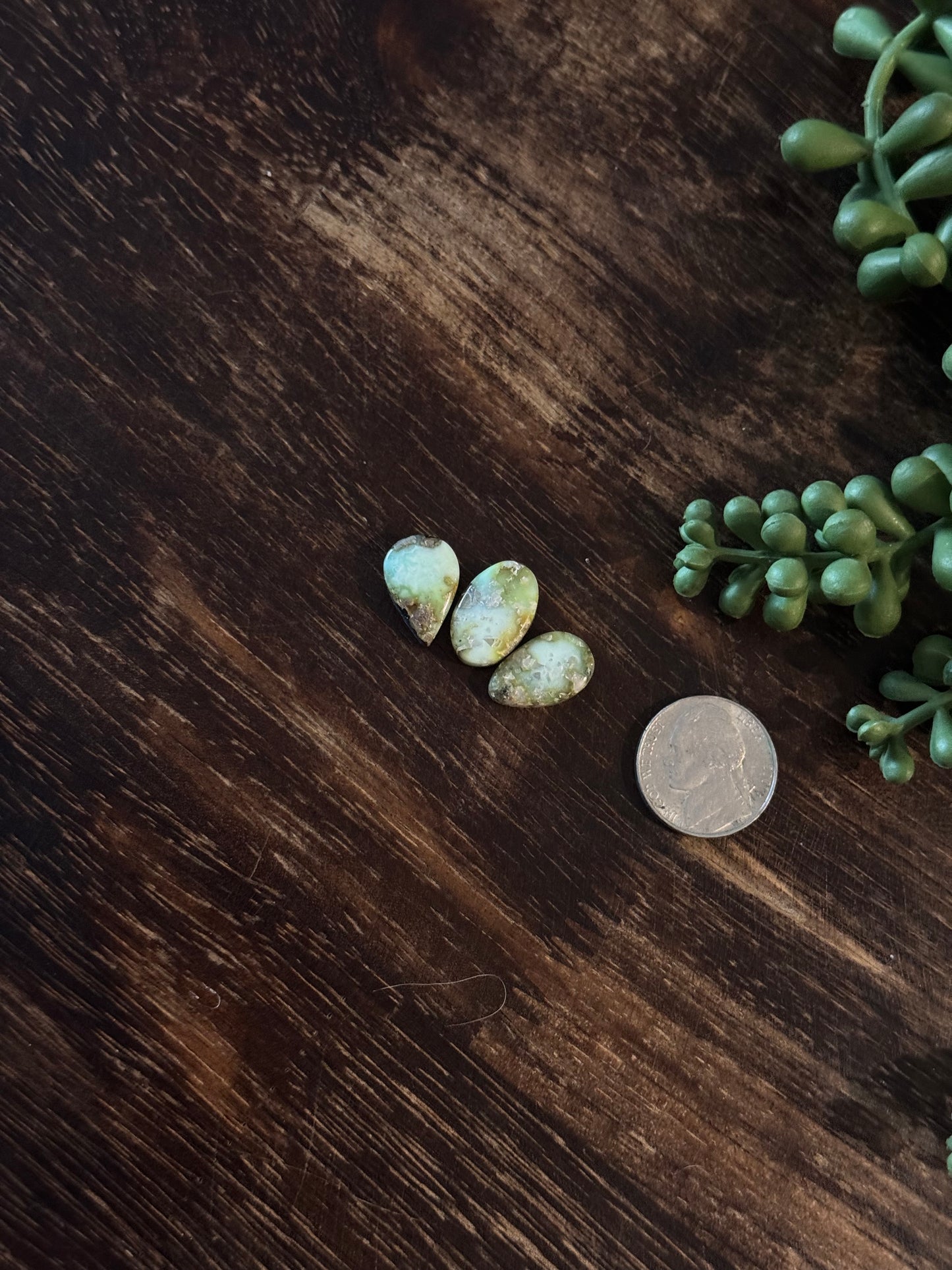 Palomino Variscite Cabs