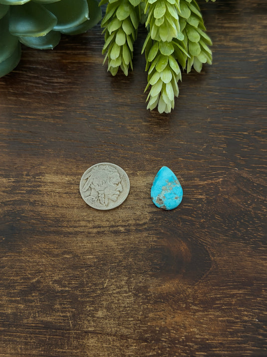 Blue Bird Turquoise Cab