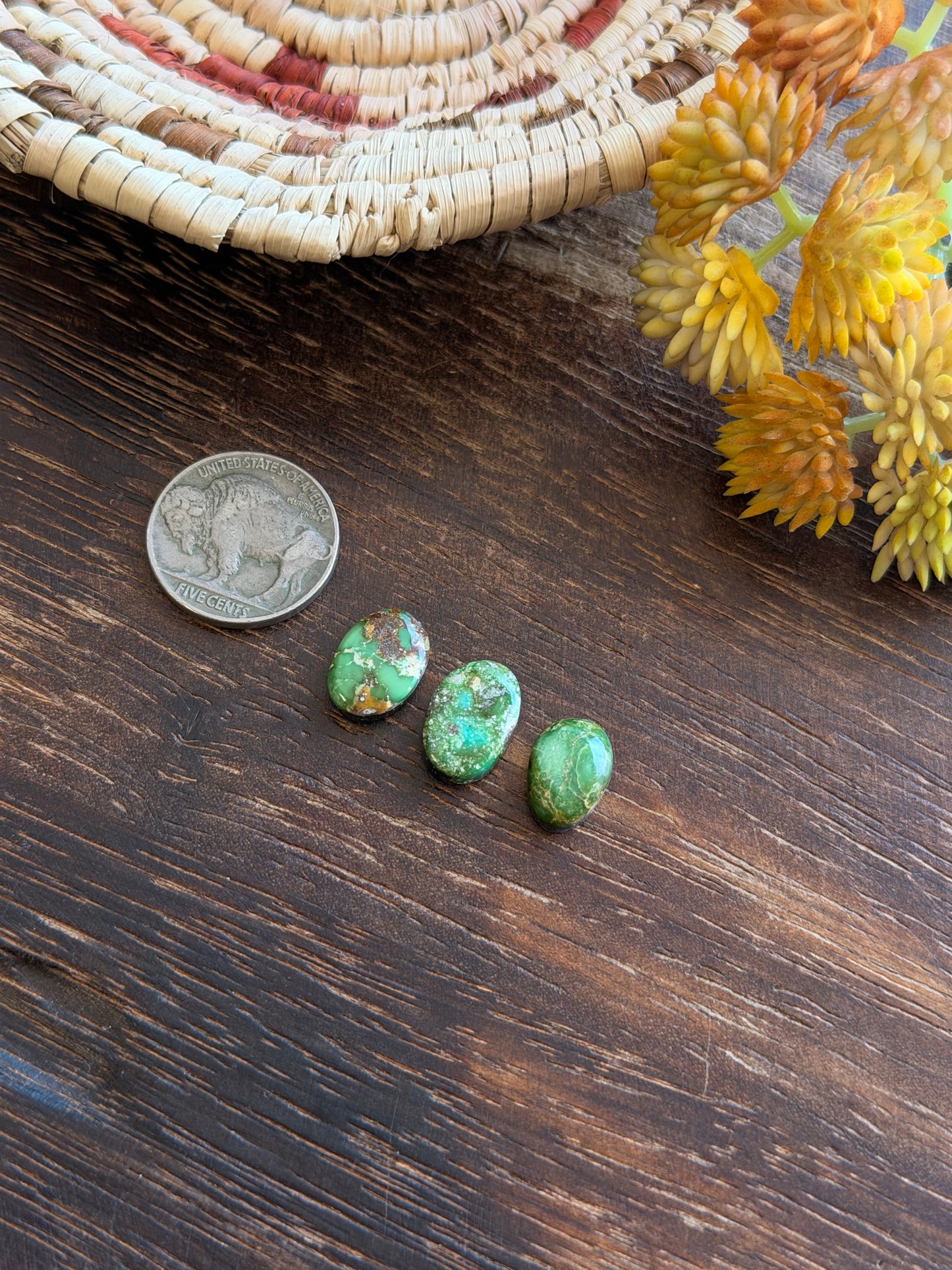 Sonoran Mountain Turquoise Cabs