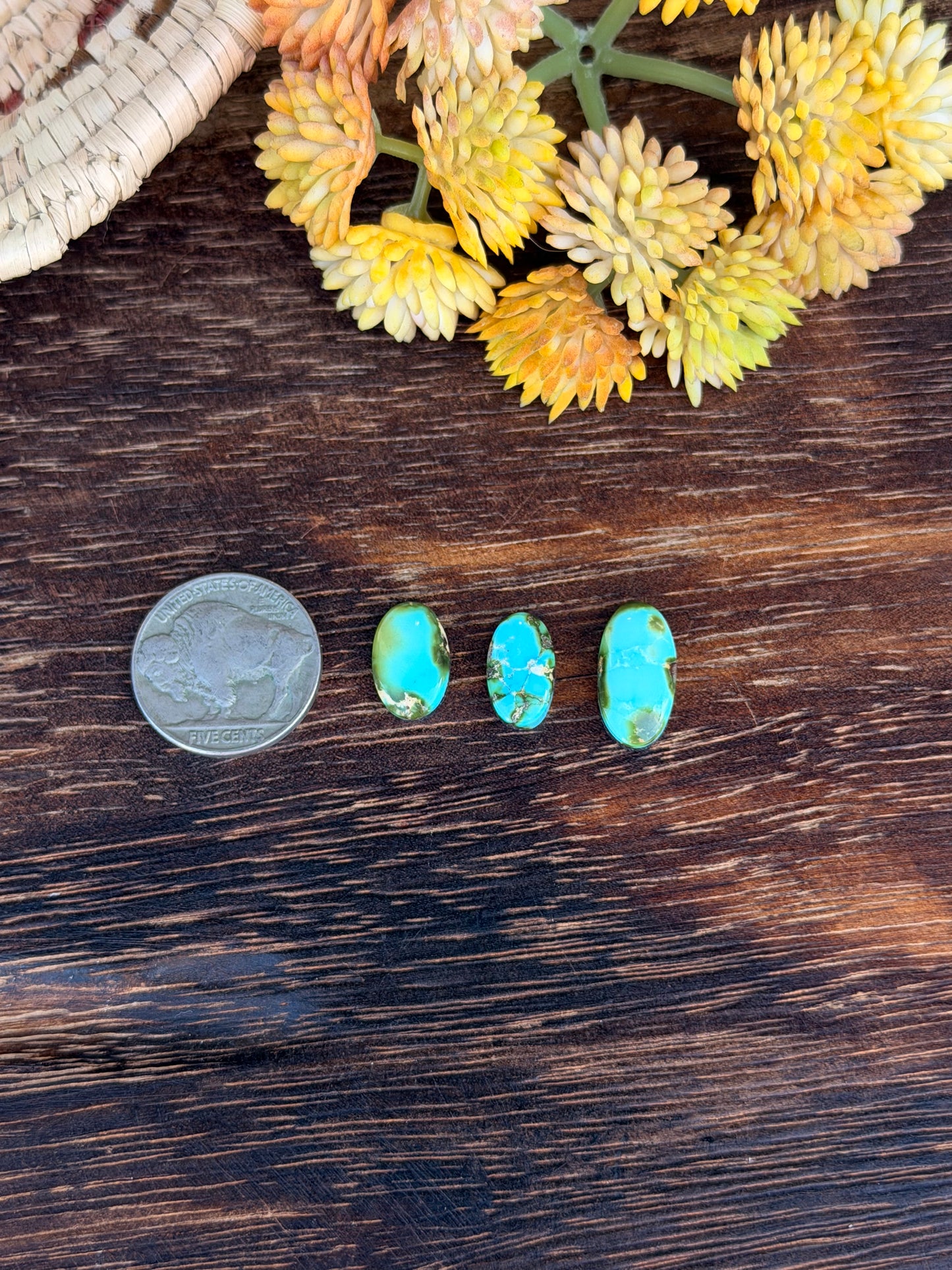 Sonoran Mountain Turquoise Cabs