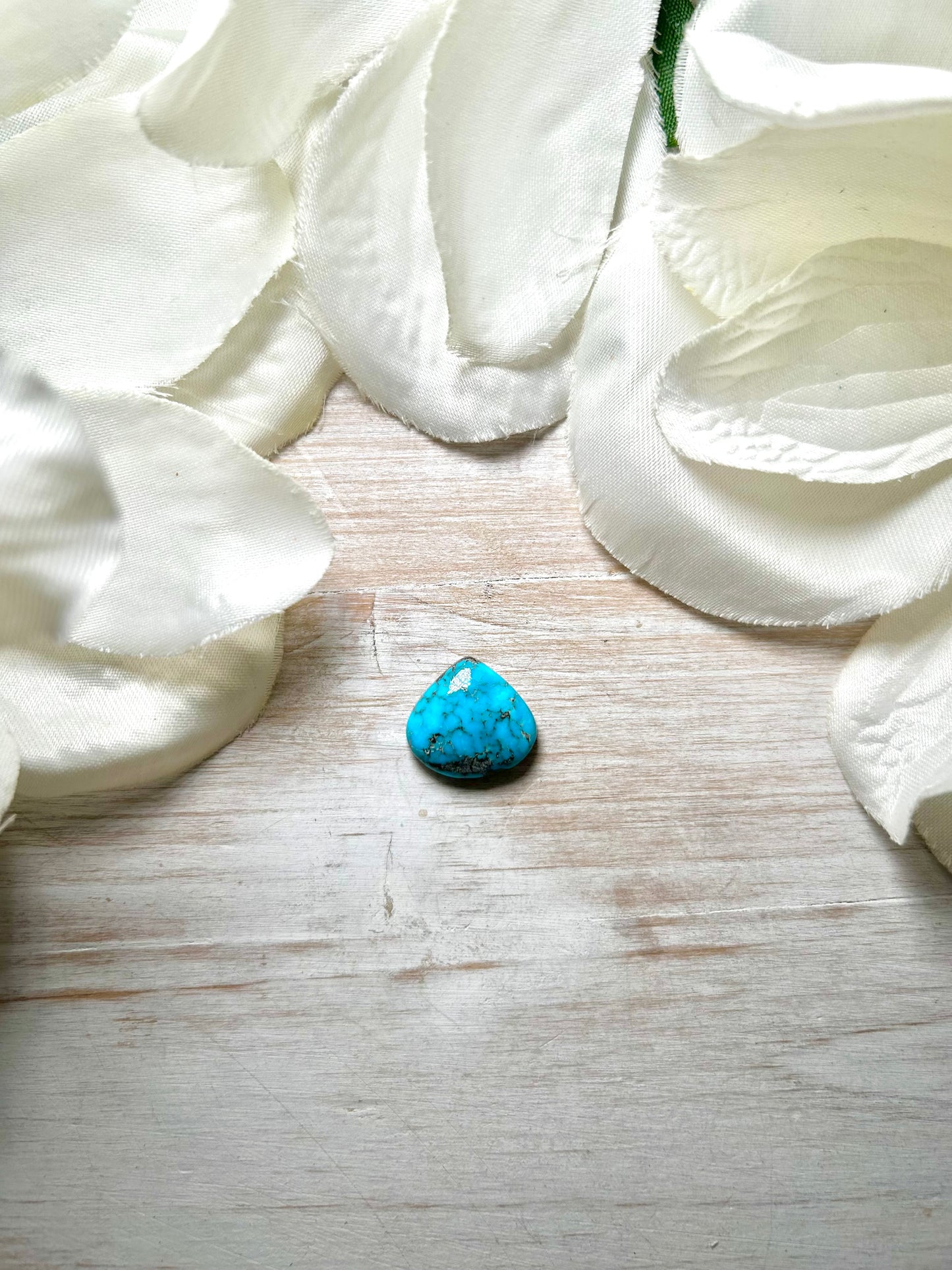 Blue Ridge Turquoise Cab