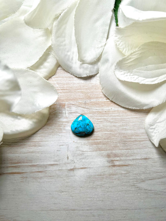 Blue Ridge Turquoise Cab
