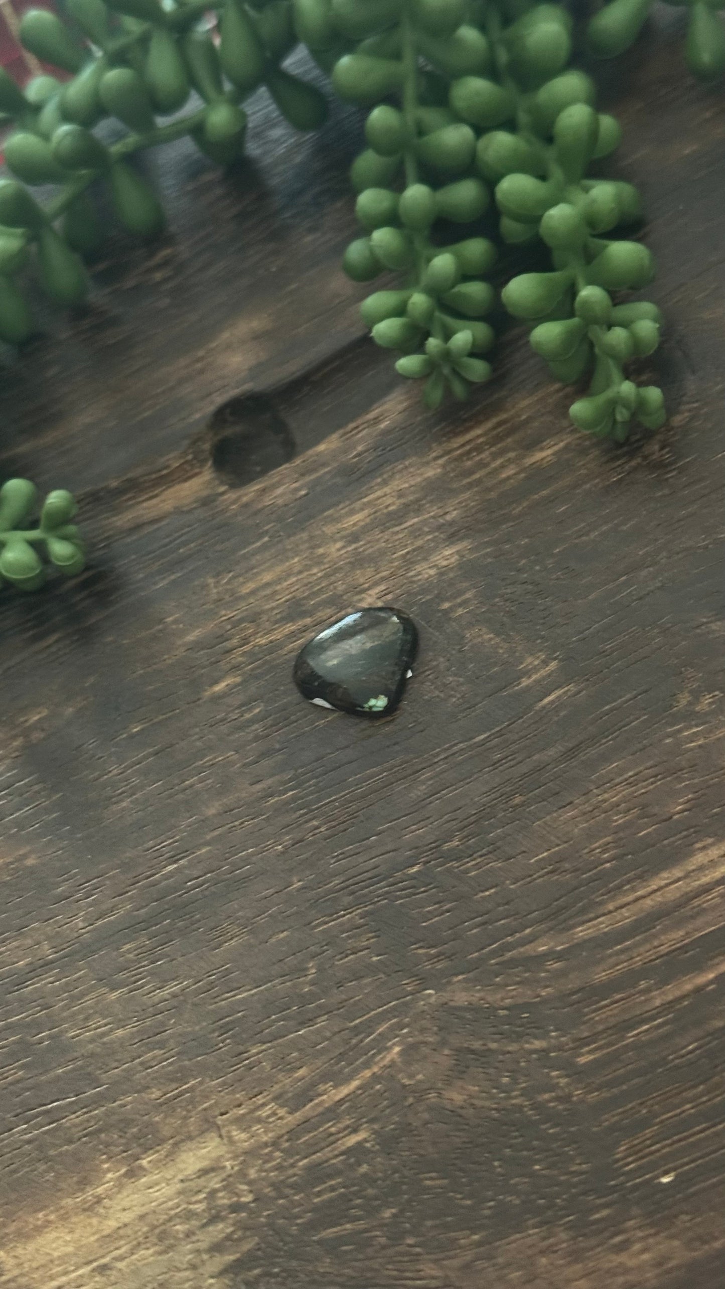 Black Jack Turquoise Cab