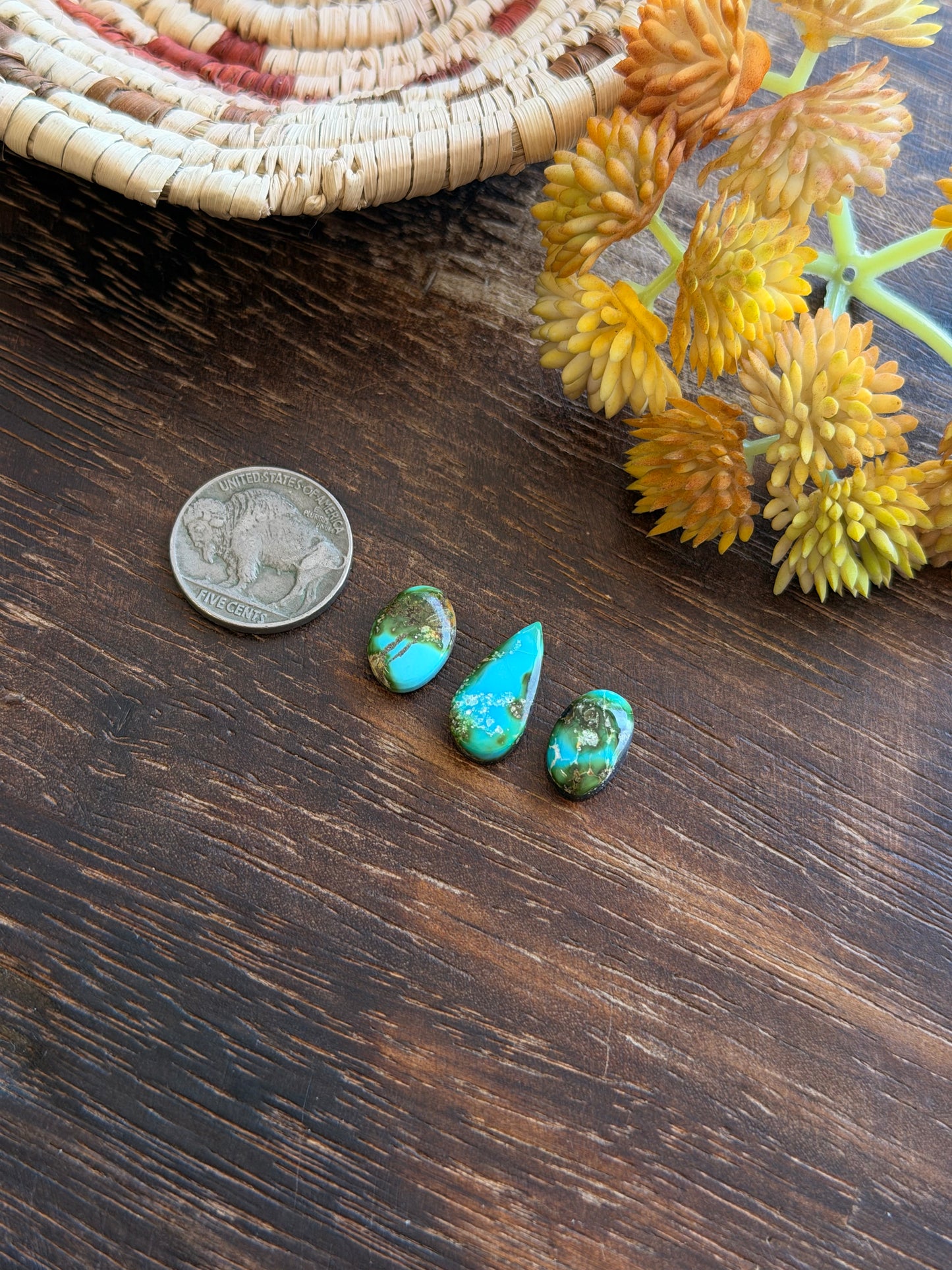 Sonoran Mountain Turquoise Cabs