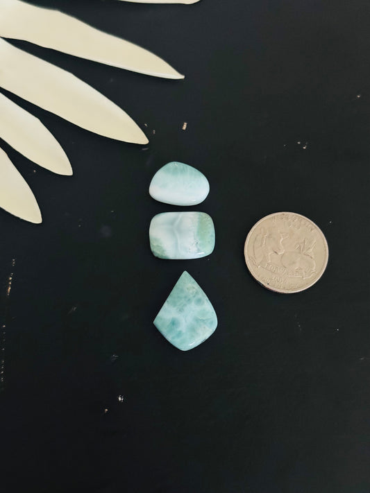 Larimar Cabs