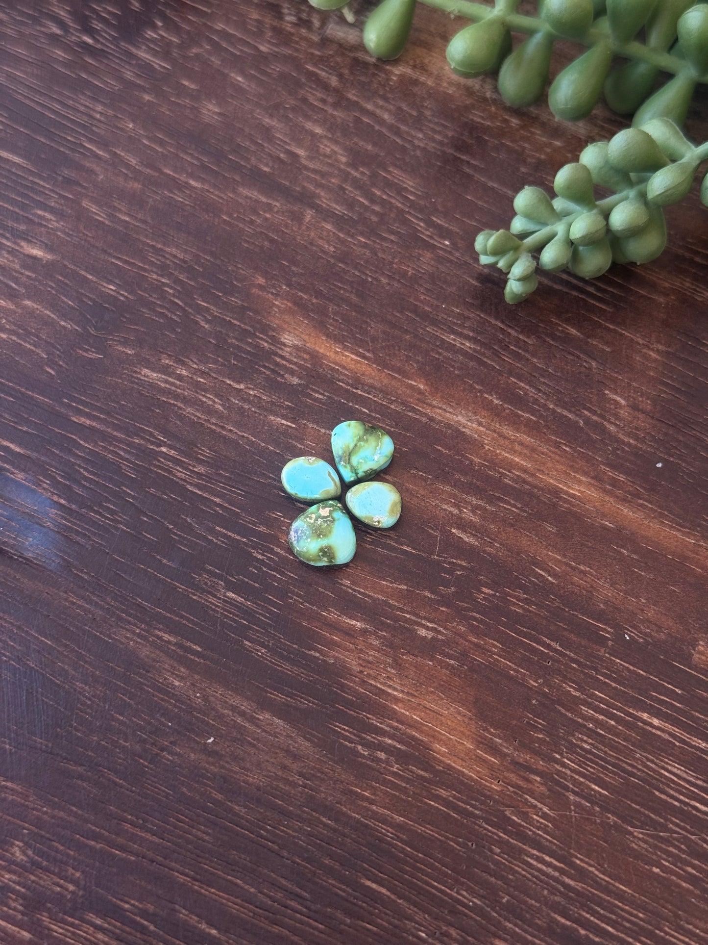 Sonoran Mountain Turquoise Cabs
