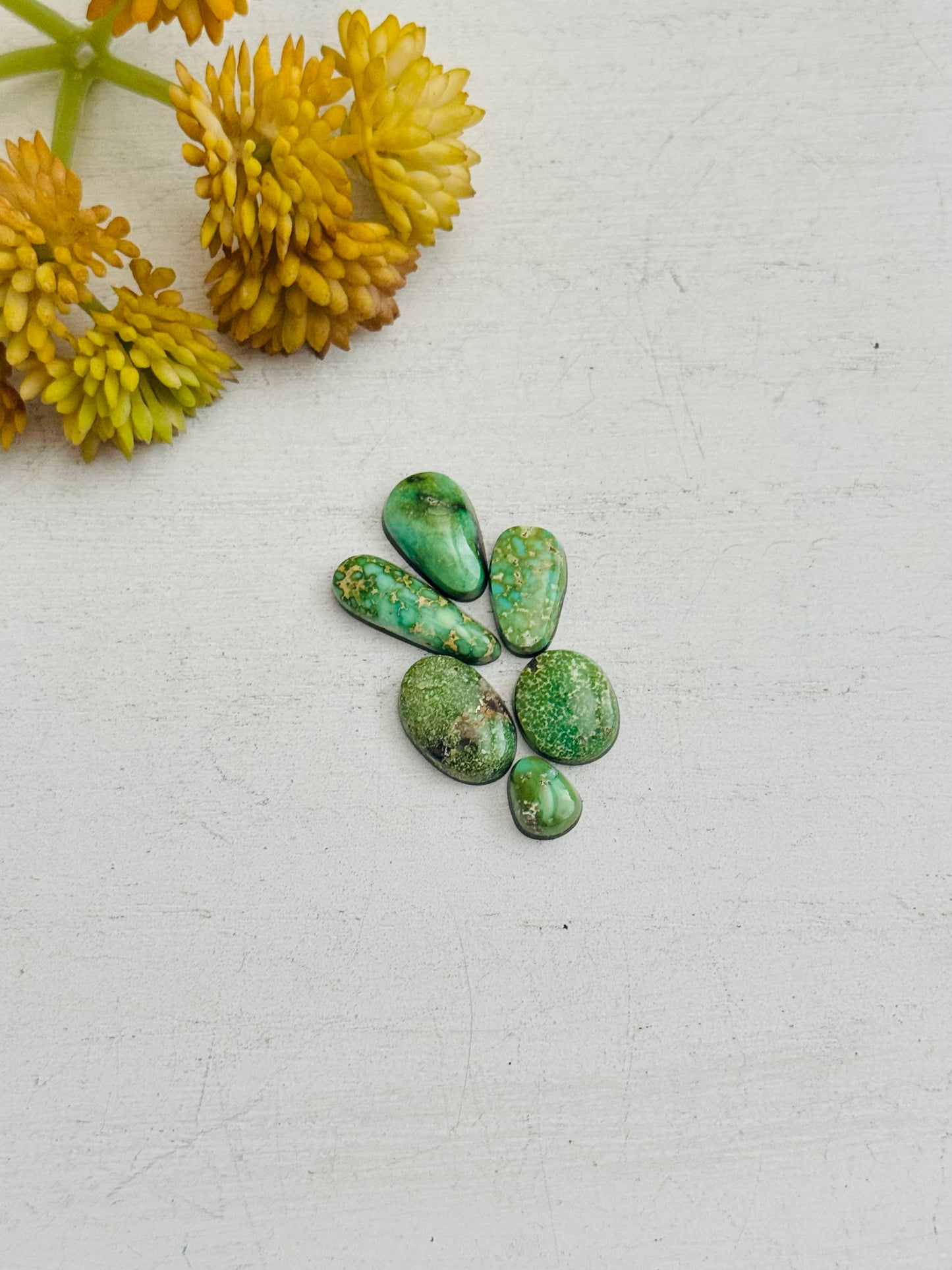 Natural Sonoran Gold Turquoise Cabs