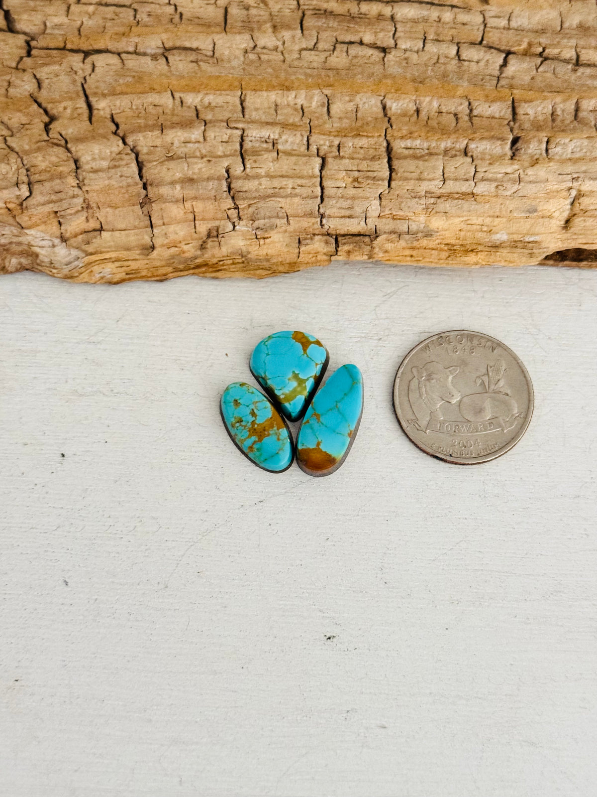 Natural Kings Manassa Turquoise Cabs