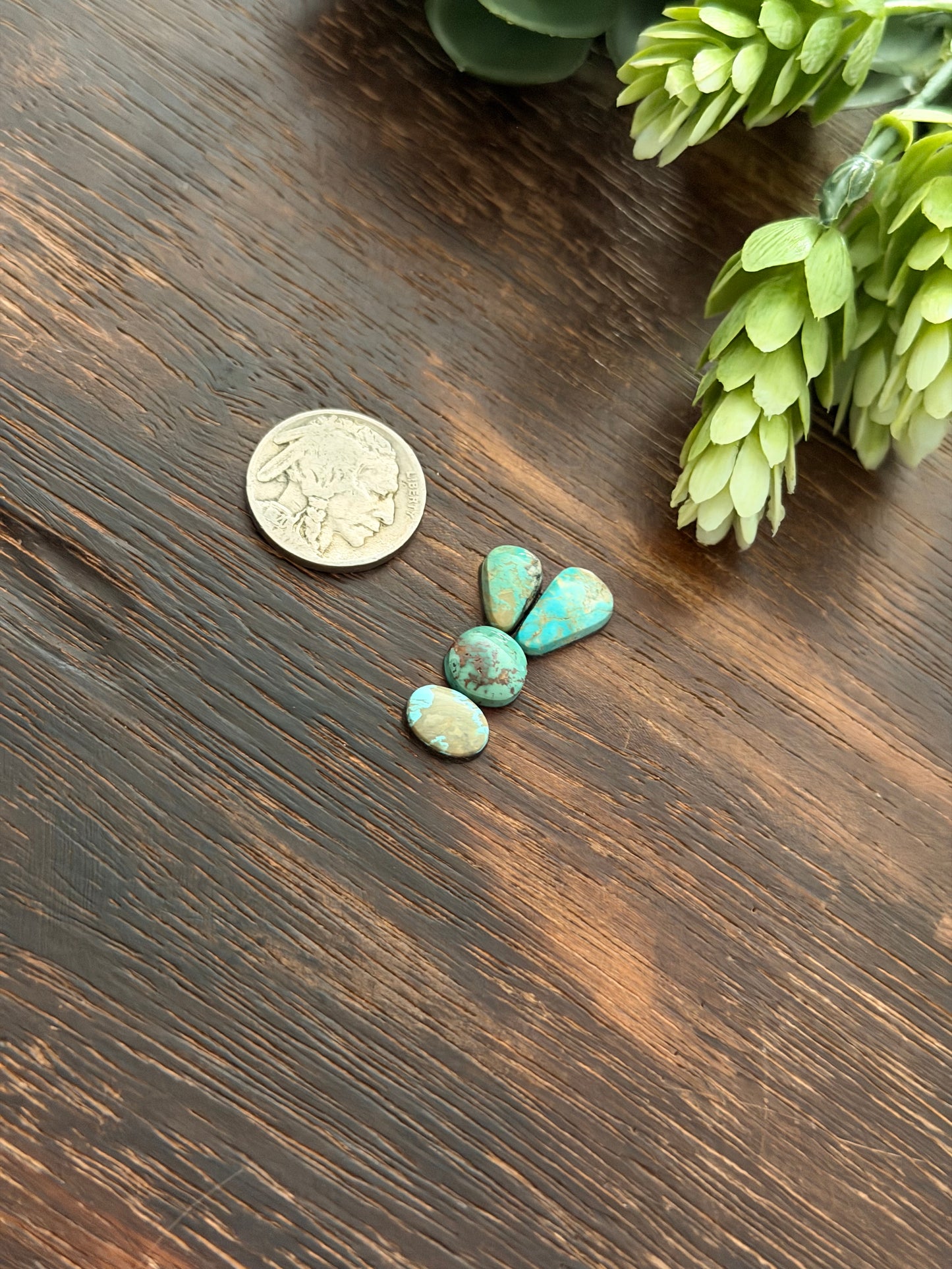 Evans Turquoise Cabs