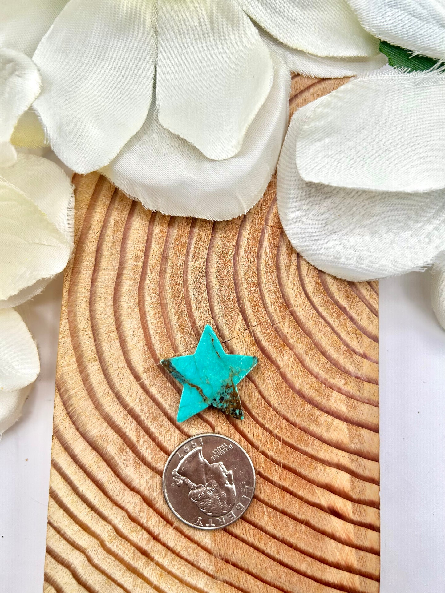 Red Skin Turquoise Cab