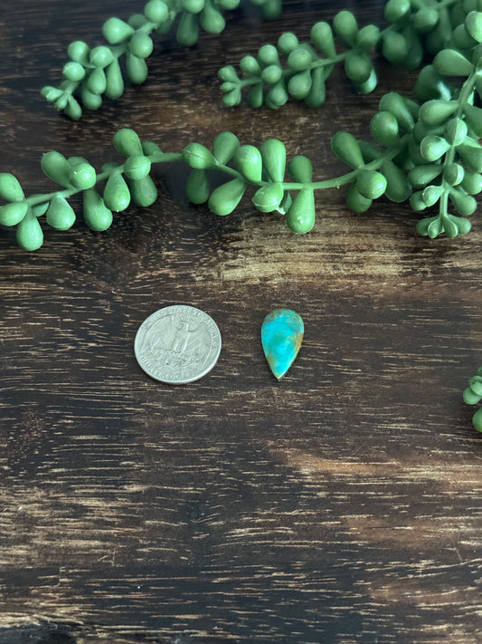 Kingman Turquoise Cab
